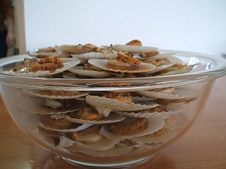 稚貝２