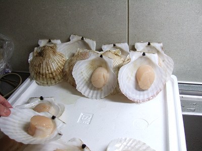 貝柱水切り