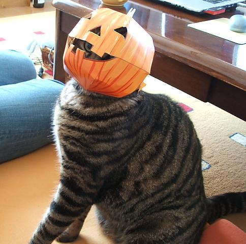 ハロウィン