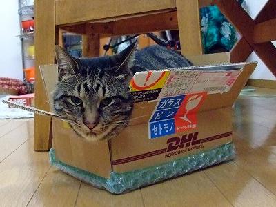 箱あとむ４