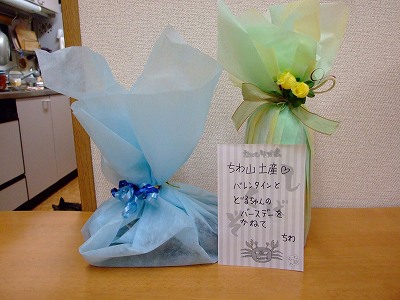 ちわわプレゼント