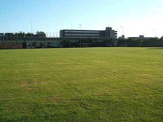 公園