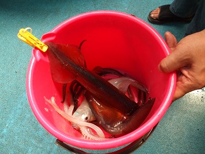 釣果