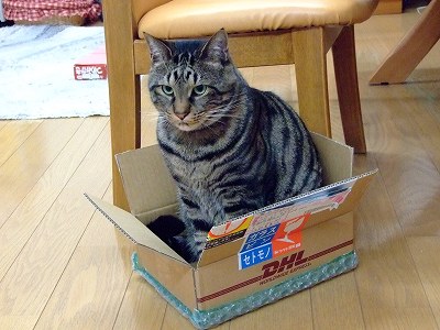 箱あとむ２