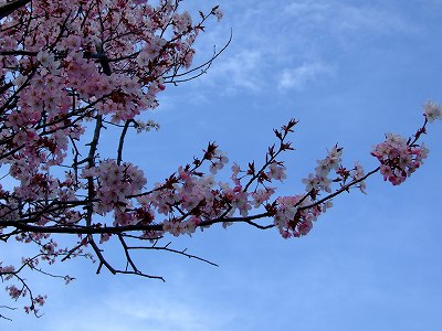 青空