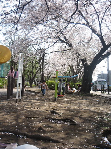 お花見学田公園