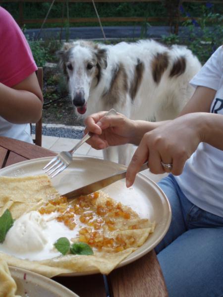 陸くんの視線が・・・