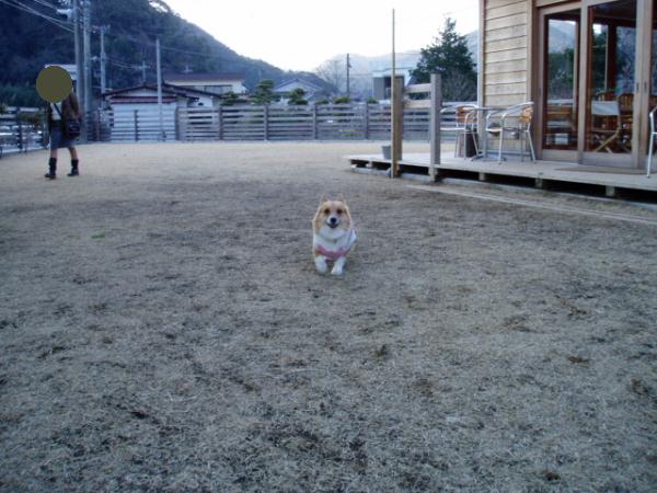 ワッセワッセ