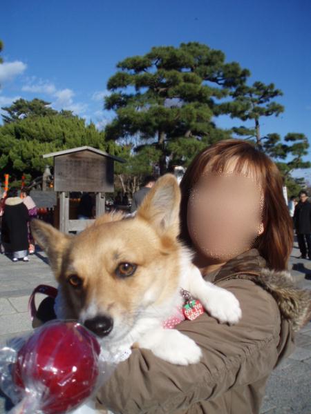モモとリンゴ飴