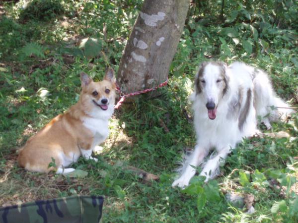 モモと陸君、ハイ！ポーズ！！
