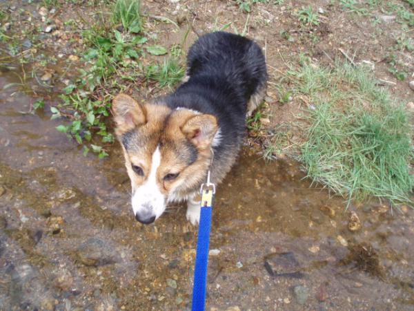 俺は川はいいよ