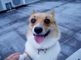 ニコッ