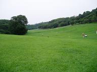 根岸森林公園