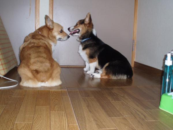 チュッ！？？？