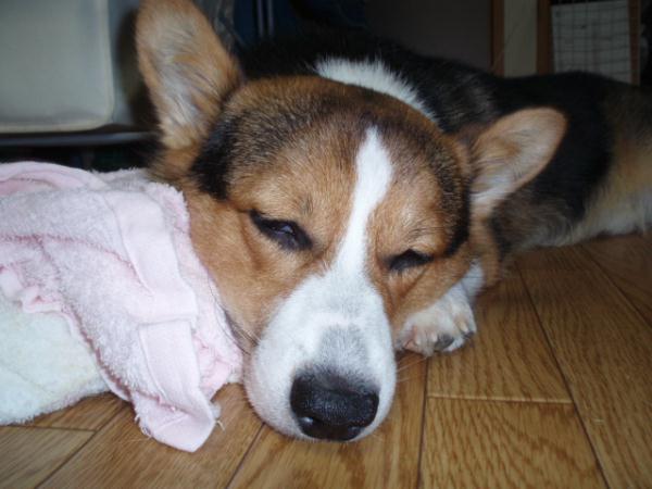 俺も疲れた・・・