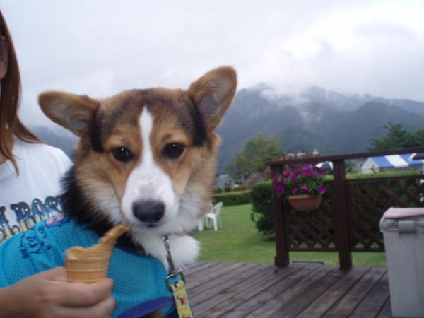 俺の番だあっ！