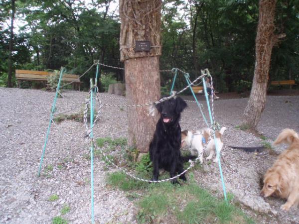 マイル師匠の銅像？