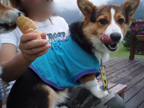 うっ！うまい！！