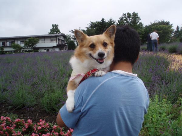 コーンを食べたから？ご満悦
