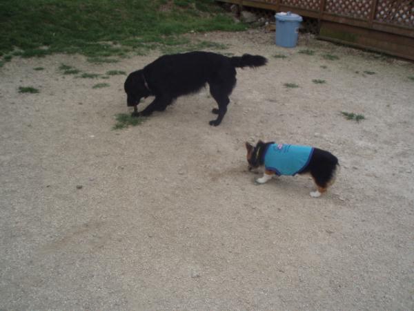 師匠のそばに・・・