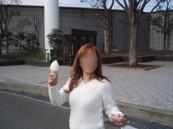 ホルスタインソフト