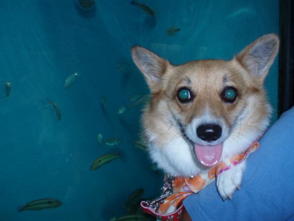 何だか嬉しそう