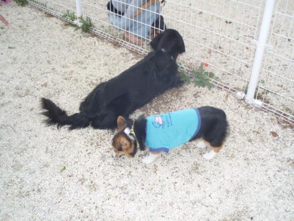 「師匠！僕を弟子にして下さいっ！！」