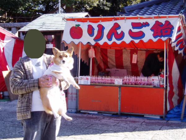 モモも食べたい。