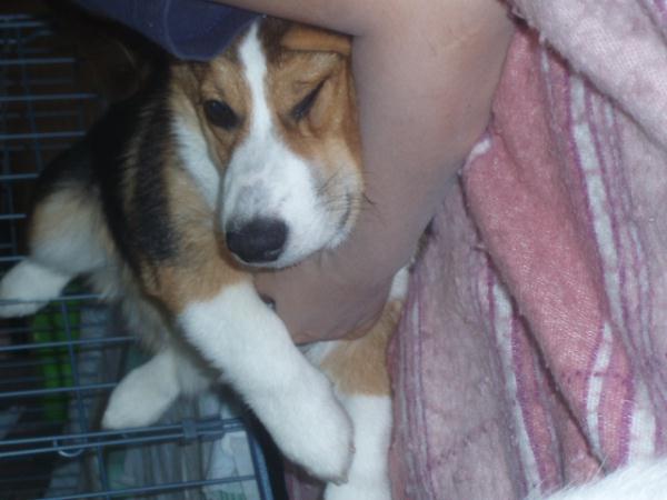 俺が怖いか～！？