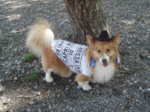 超カッコイイデミタス君