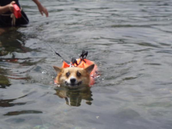 必死です・・・