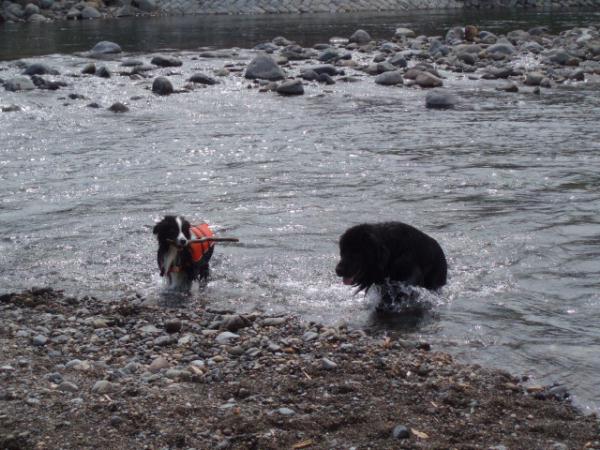 マリンちゃん＆ラルク君