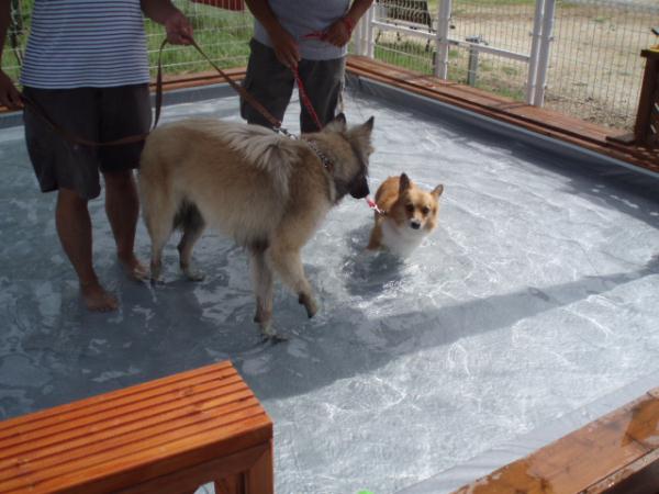 ラオ君と一緒に