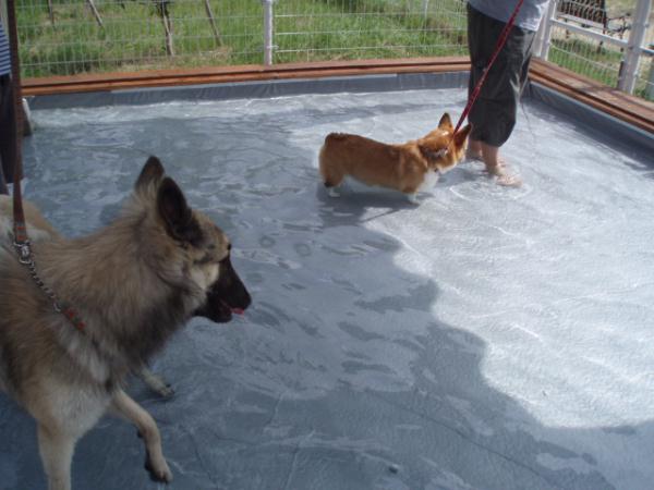 遠くで誰かが狙ってる