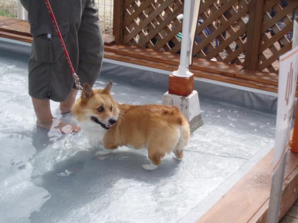 振り向いた先に