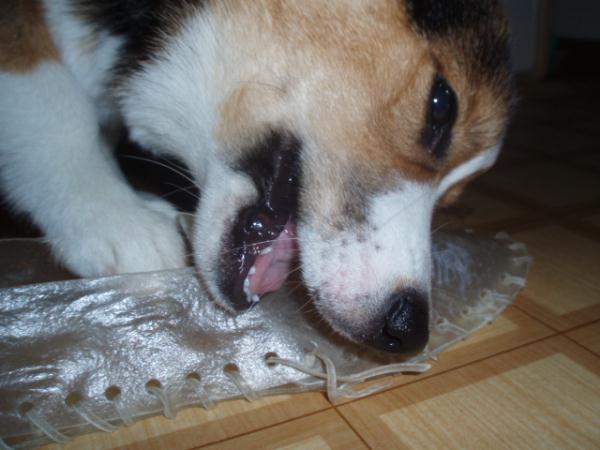 うひゃうひゃ～