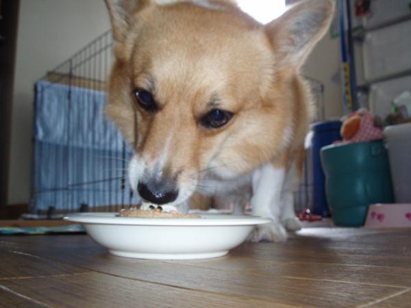 あっという間に