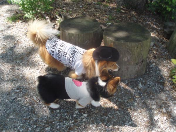 デミさんに弟子入り！？