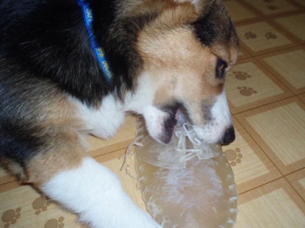 って、これ誰の靴だ？