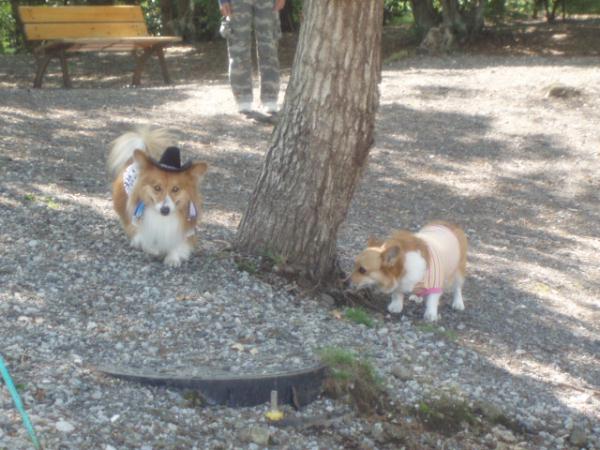 モモとは３回目