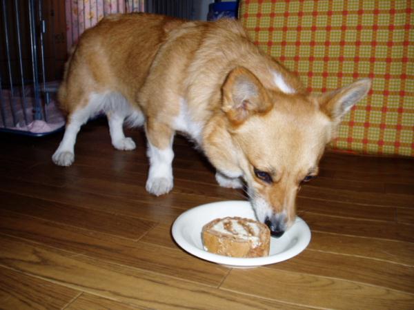 TDB渋谷店限定ロールケーキ
