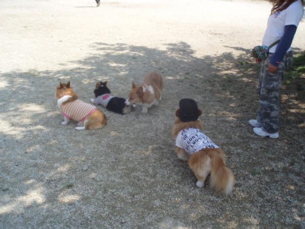 コギ４人衆
