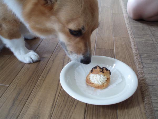 これ何？