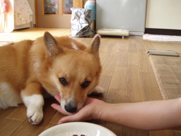 あご