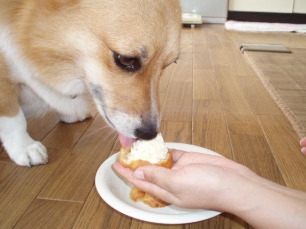 お嬢の食べ方