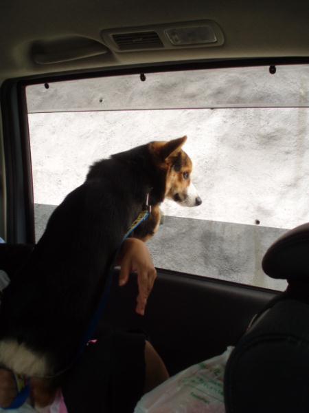 ツバサも後ろでワクワク～