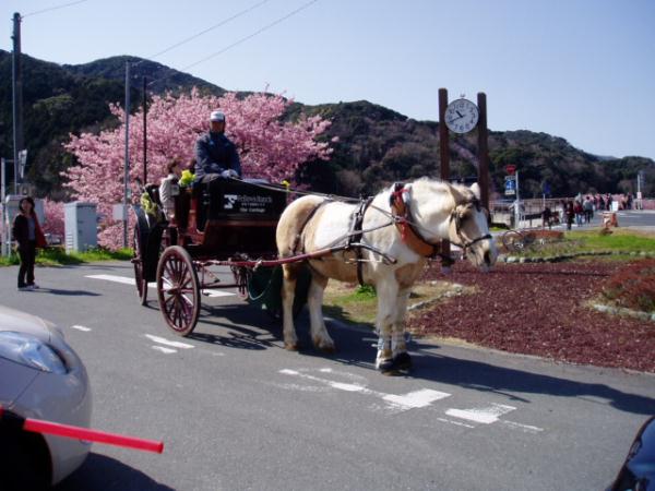 花馬車