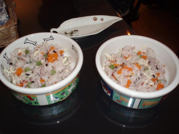 CANDY ワンコリゾット