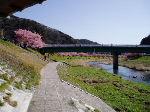 川全景