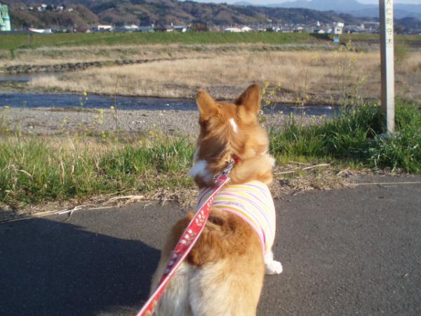 モモよ、遠くに何を見つめてるんだ！？